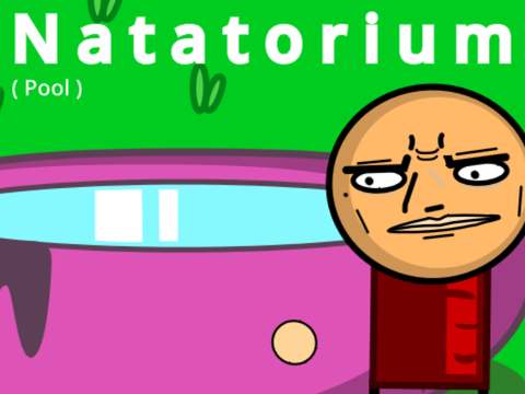 Natatorium ( P o o l )