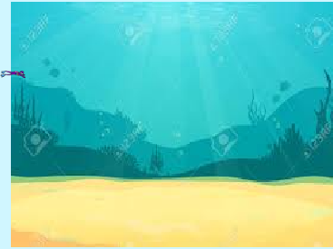 Shoot the star fish, With guns