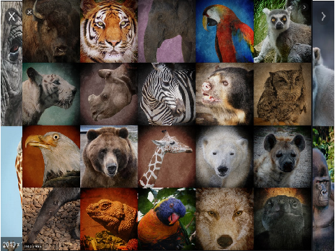 SIGN TO HELP THE ANIMALS  remix