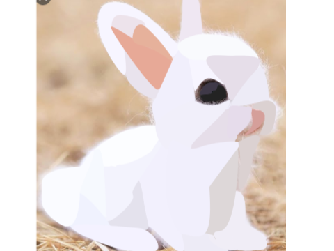 the cute rabbit blockshade