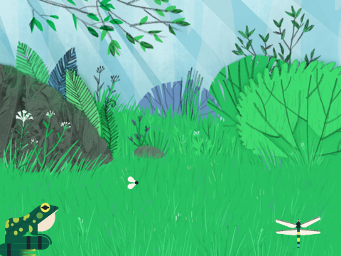Frog Game