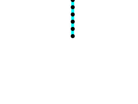 worm
