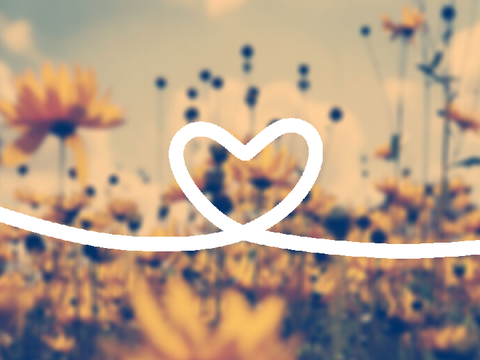 For Daisy :>