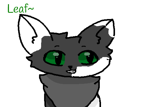 My brother desings another cat