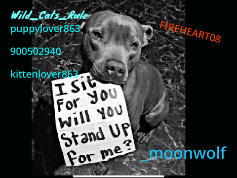 Remix and sign if you hate animal cruelty!! remix remix