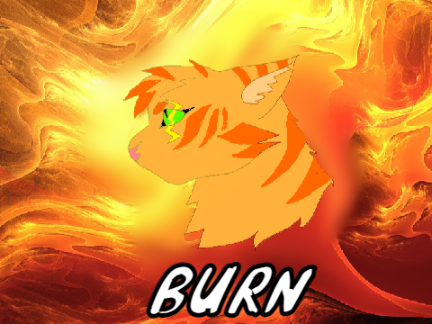 Burn part ??