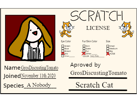 My Scratch Licence