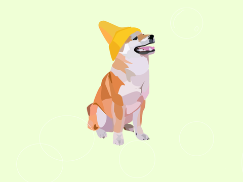 B e a n i e   D o g