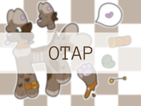 → February OTAP!