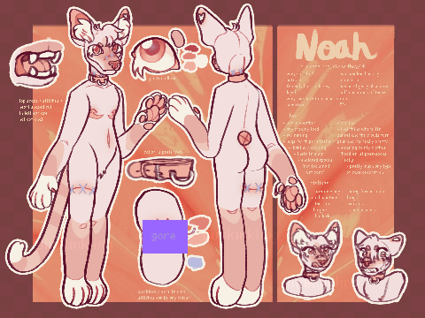 noah ref