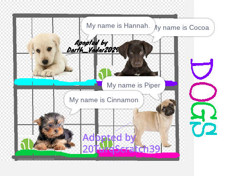Adopt a Pet 