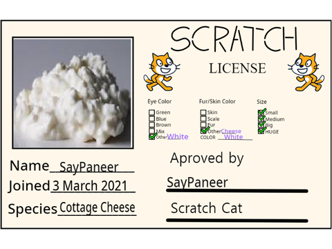 Scratch License Plate