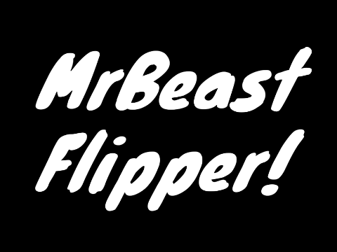 Mr. Beast Flipper!