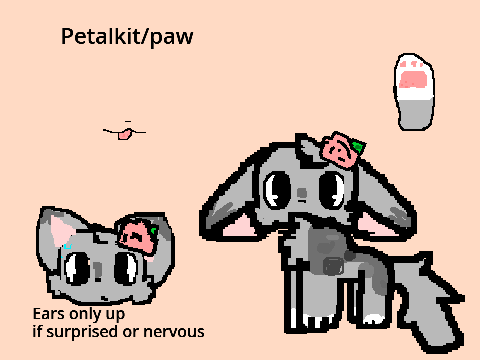 -Petalkit ref- LFBRP-