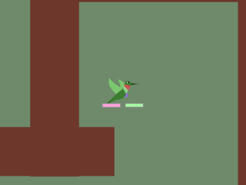 Hummingbird Game