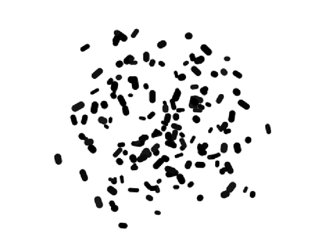 Fly Colony Simulator 100% Pen