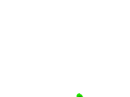 Life of a plant