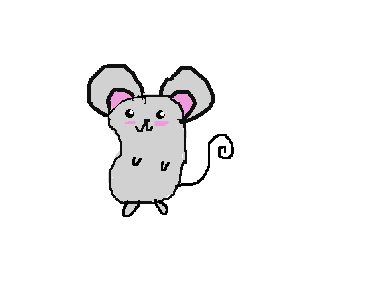 Rat