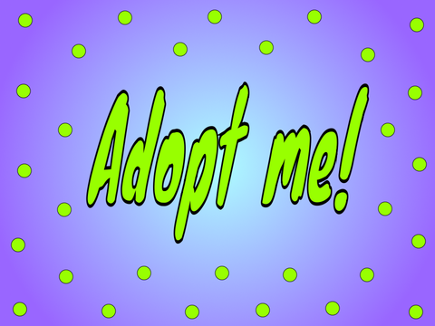 adopt a pet!