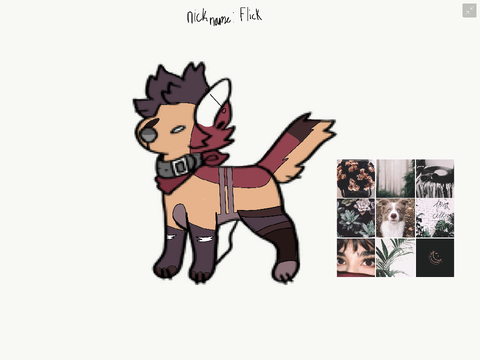 My pfp ref