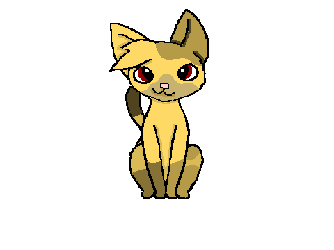 Warrior Cats OC