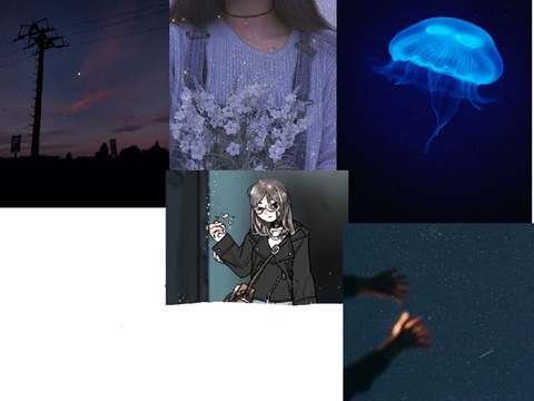 swc character aesthetics 