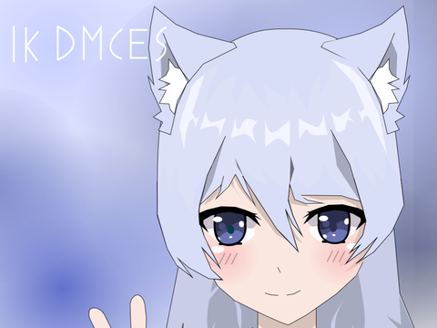 1k DMCE(s)