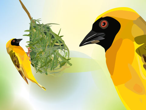 Masked Weaver (A blockshade animation)