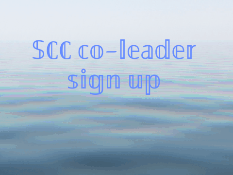 SCC co-leader sign up <3