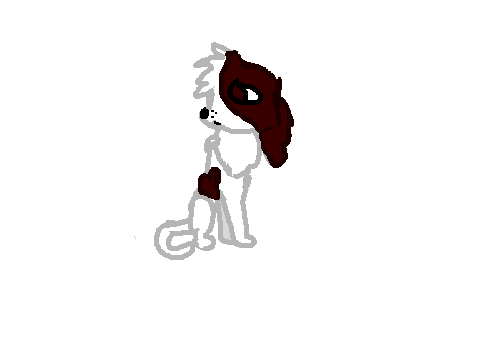 animation practice