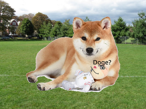 Sandy and the Doge