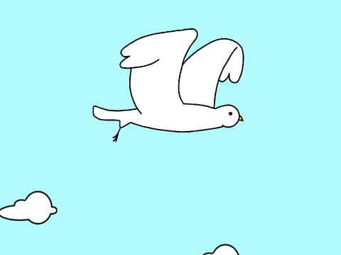 Bird flying animation
