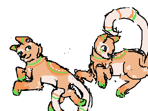 @lilymoss' pretty color cat go brrrr