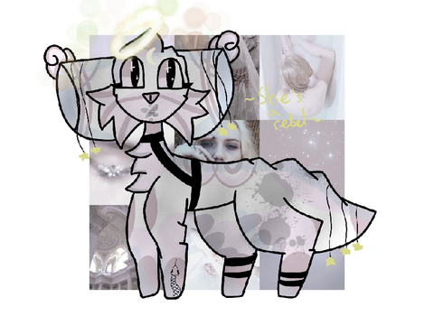 - - ✿ dmace