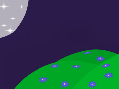 flower field