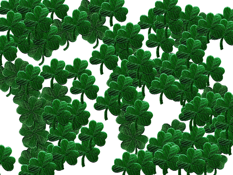 Find the four leaf clover!