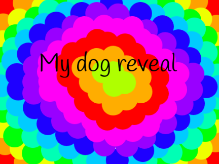 My dog reveal