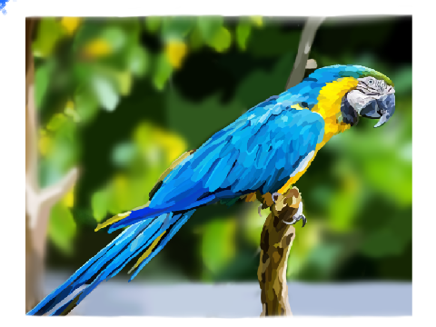 Macaw Blockshade Entry