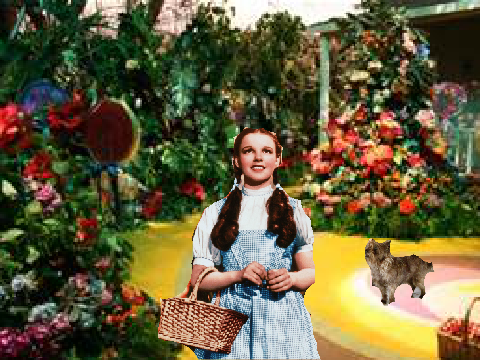 wizard of oz remix