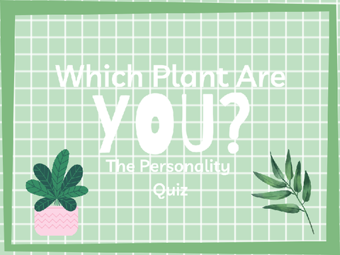 Which Plant Are YOU? ~ The personality quiz