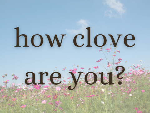 how clove are you *updated*