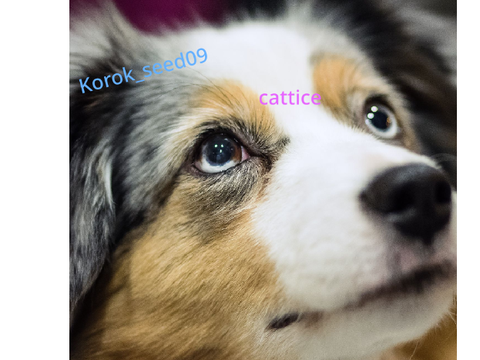 SIGN IF SHE'S SO CUTE YOU CANT EVEN! remix