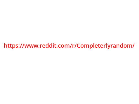 My reddit
