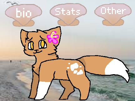 BeachClan ◈ Deerpaw