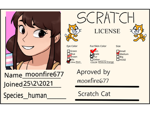 Make Your Own Scratch License