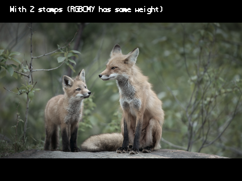 Image decolorization methods