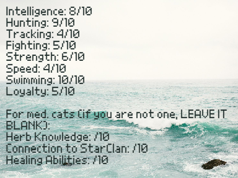 BeachClan ◈ Wavepaw