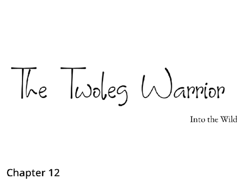 The Twoleg Warrior Chapter 12 A Warrior Cat FanFiction