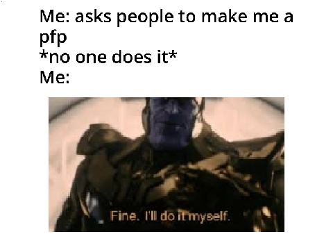 new pfp with meme