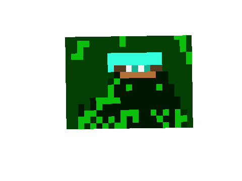 When your playing hide and seek in minecraft and there is a bush